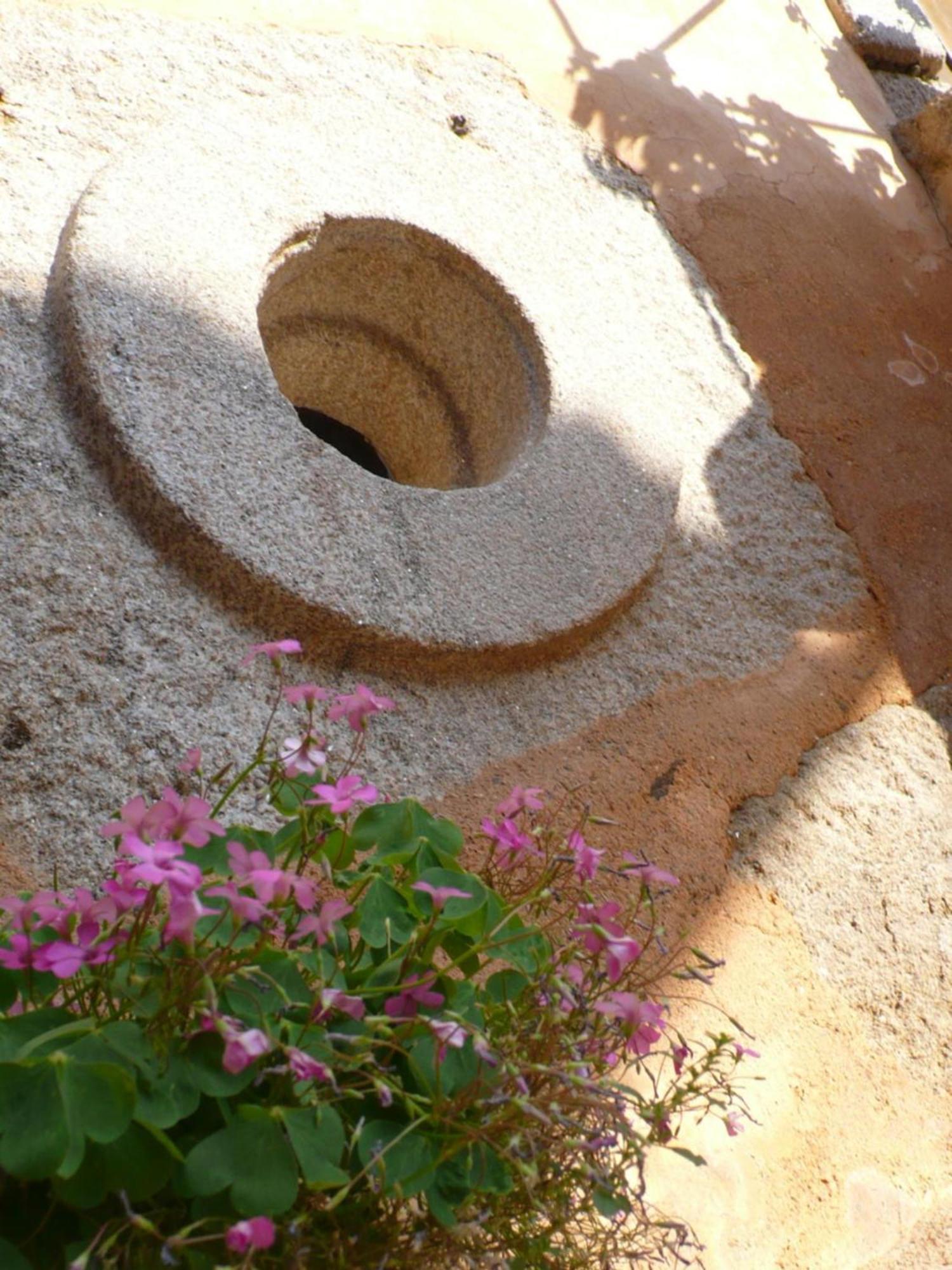 Casa Da Ti Cura Guest House Atenor ภายนอก รูปภาพ