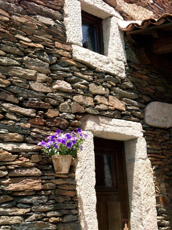 Casa Da Ti Cura Guest House Atenor ภายนอก รูปภาพ