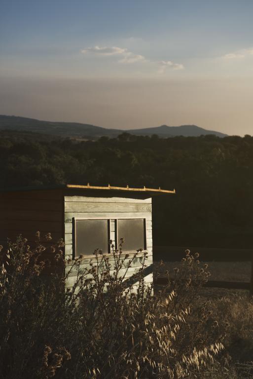 Casa Da Ti Cura Guest House Atenor ภายนอก รูปภาพ
